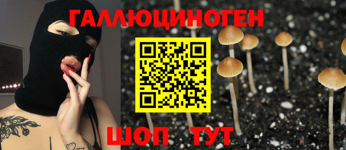 Галлюциногенные грибы Psilocybine cubensis Минеральные Воды